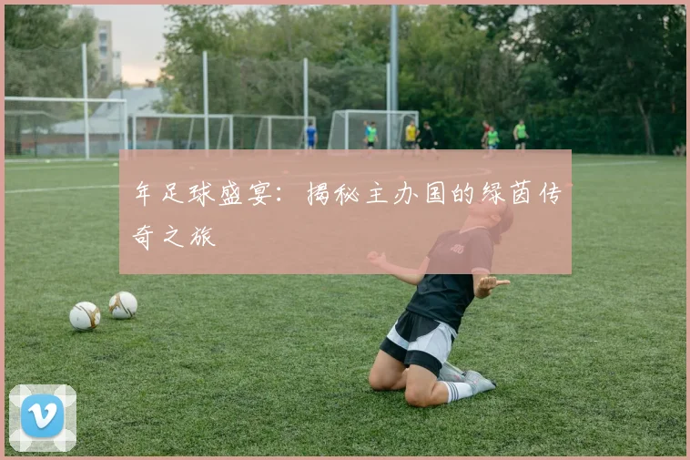 年足球盛宴:揭秘主办国的绿茵传奇之旅